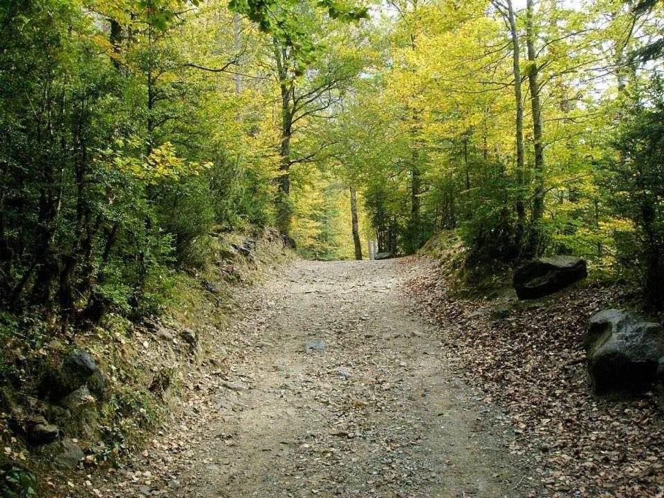 Apartamentos Pirineos Ordesa El Pueyo de Araguas Luaran gambar